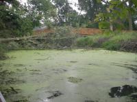 IMGP0537.JPG