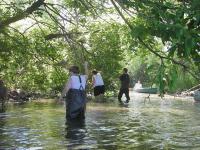 SugarRiver_2005_1.jpg