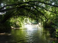 SugarRiver_2005_10.jpg