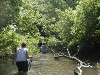 SugarRiver_2005_2.jpg