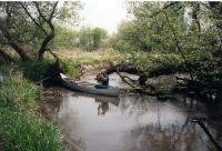 Token_Creek_1.jpg