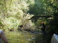 YaharaRiver_2005_4.jpg