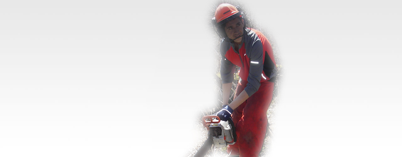 Clearing waterways for navigation and drainage